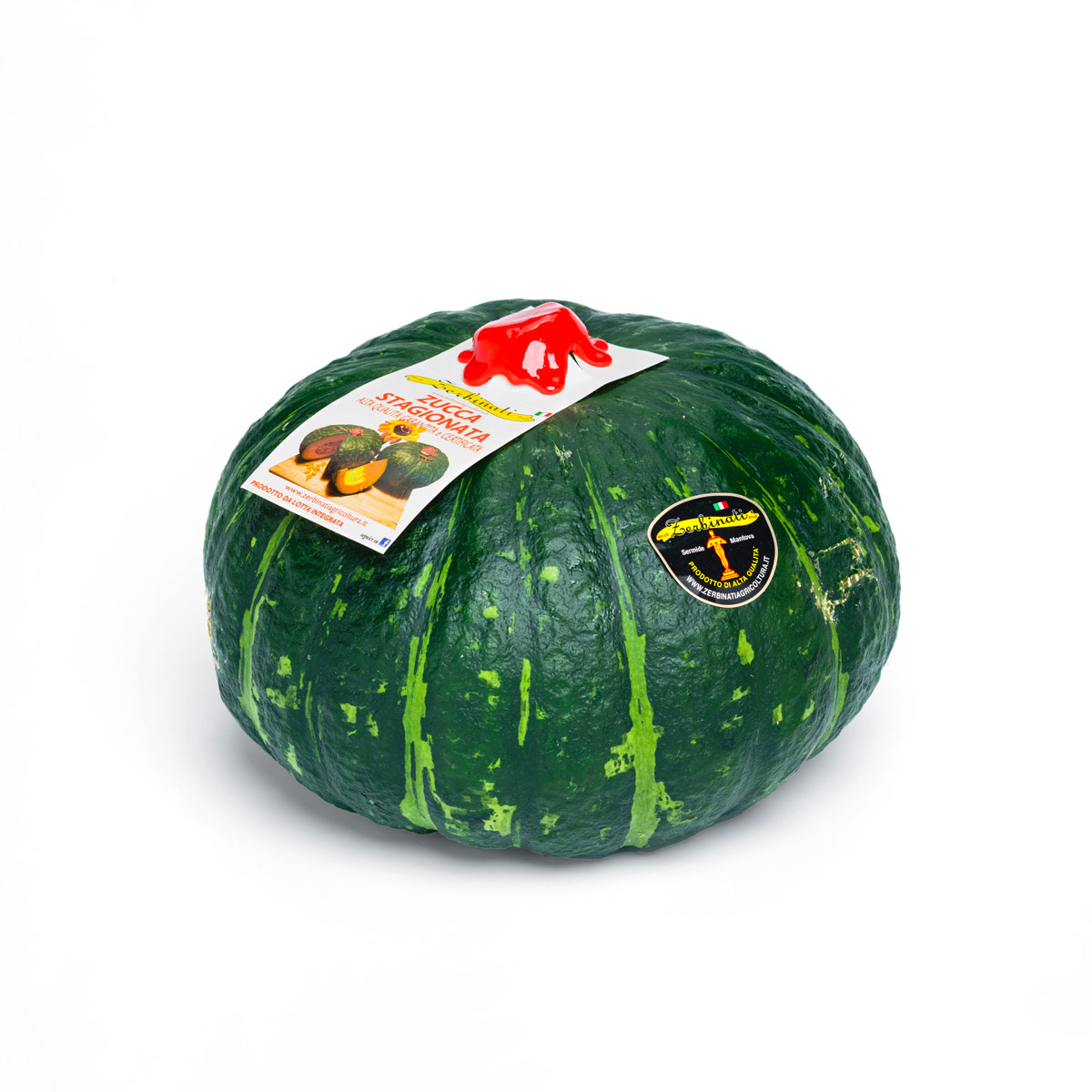 Zucche Zerbinati Agricoltura